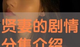 在线观看贤妻,家庭和谐的守护者，在线观看情感共鸣之旅